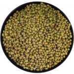 RageFitness Fazole mungo 0,5 kg – Zboží Dáma RageFitness Fazole mungo 0,5 kg – Zboží Dáma