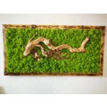 Mechový obraz se dřevem 60cm x 120cm – Zboží Dáma