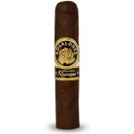 Joya de Nicaragua Rosalones – Zbozi.Blesk.cz