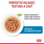 Royal Canin Puppy Medium 10 x 140 g – Zboží Mobilmania