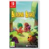 Hra na Nintendo Switch Blazing Beaks