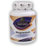 Golden Nature Magnesium Hořčík Chelate+Vitamin B6 100 kapslí – Hledejceny.cz