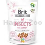 Brit Care Dog Crunchy Cracker Puppy Insects with Whey enriched with Probiotics 200 g – Zboží Mobilmania