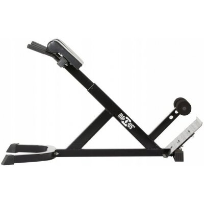 Maxxus Hyperextension 150 kg – Hledejceny.cz