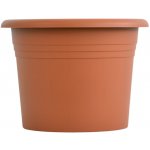 obal d30cm Narcis TER – Hledejceny.cz