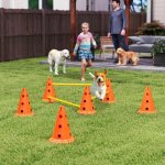 PawHut Agility set pro psy – Hledejceny.cz