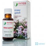 Fytos Klidný spánek 20 ml – Hledejceny.cz
