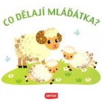 Co dělají mláďátka? – Hledejceny.cz