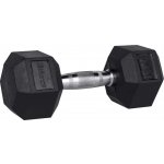 Fitforce FDBB 10 kg – Zbozi.Blesk.cz