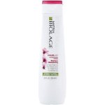 Matrix Biolage ColorLast Shampoo 250 ml – Zbozi.Blesk.cz