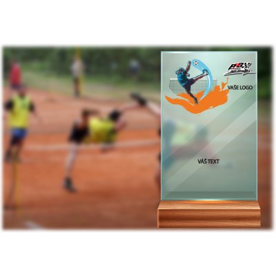 Skleněná trofej na dřevěném podstavci Nohejbal 17 cm – Sleviste.cz