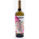 Katarzyna Estate Contemplations Sauvignon Blanc bílá 2024 13,5% 0,75 l (holá láhev) – Hledejceny.cz