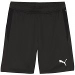 Puma teamGOAL – Hledejceny.cz