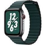 Coteetci kožený magnetický řemínek pro Apple Watch 38/40 mm WH5205-GR Borovicová – Hledejceny.cz