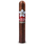 Joya de Nicaragua Flor de Nicaragua Colorado Robusto – Zbozi.Blesk.cz