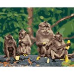 Malování podle čísel Čtyři opice s banány – Sleviste.cz