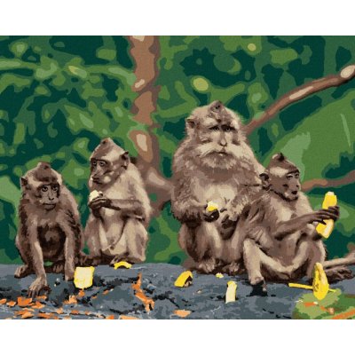 Malování podle čísel Čtyři opice s banány