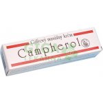 Campherol chladivý masážní krém 50 g – Sleviste.cz