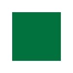 NehtyShop Polycolor akrylová barva Chrome oxid zelená 20 ml – Sleviste.cz