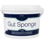 Protexin Gut Sponge pro koně 1,5 kg – Zboží Mobilmania