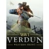 Hra na PC Verdun