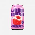 Living Things Soda malina a granátové jablko 12 x 330 ml – Hledejceny.cz
