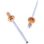 Nýt trhací, plochá hlava, DIN 7337, měď/ocel 3 x 12 - hobby balení, balení 1 ks – Zboží Mobilmania