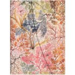 Anemone Midi – Sleviste.cz