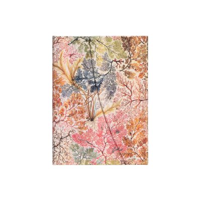 Anemone Midi – Sleviste.cz