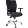 Kancelářská židle Multised BZJ 391 A