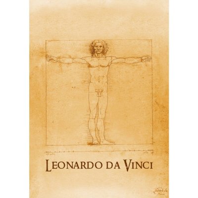 Pohlednice 3D Da Vinci Man – Sleviste.cz