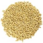 ZdravýDen Bio Ječmen semena na klíčení 0,5 kg – Zboží Dáma