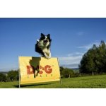 DogTrace Překážka 1m – Hledejceny.cz