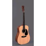 Sigma Guitars DM-ST – Zboží Mobilmania