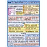 Ostatní Tabulka přehled německé gramatiky pro ZŠ – Zboží Dáma