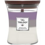 WoodWick Trilogy Amethyst Sky 275 g – Zboží Mobilmania