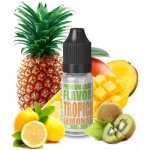 Infamous Liqonic Tropical Lemonade 10 ml – Zbozi.Blesk.cz