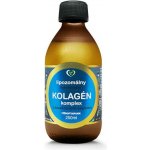 Zdravý Svet Lipozomální hydrolyzovaný kolagen komplex 250 ml – Hledejceny.cz