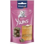 Vitakraft Cat Yums Kuře & kočičí tráva 40 g – Hledejceny.cz