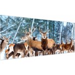 Obraz - Stádo jelenů, jednodílný 250x125 cm – Hledejceny.cz
