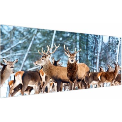 Obraz - Stádo jelenů, jednodílný 250x125 cm – Hledejceny.cz