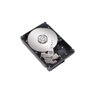 Seagate Barracuda ES 750GB, 3,5", 7200rpm, SATAII, ST3750330NS