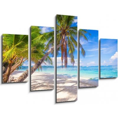Obraz 5D pětidílný - 150 x 100 cm - Coconut Palm tree on the white sandy beach Kokosová palma na bílé písečné pláži – Zboží Mobilmania
