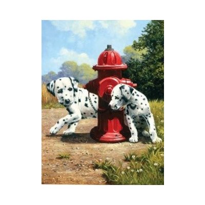 Malování podle čísel Dalmatini u červeného hydrantu – Zboží Mobilmania