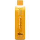 Šampon GK Hair Gold Shampoo 250 ml