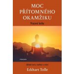 Moc přítomného okamžiku – pracovní kniha, 3. vydání - Eckhart Tolle – Hledejceny.cz