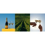 Veuve Clicquot Yellow label Brut 12,5% 0,75 l (holá láhev) – Sleviste.cz