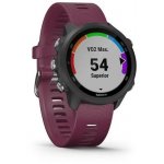 Garmin Forerunner 245 – Zbozi.Blesk.cz