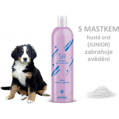 Record Šampon PROFESIONAL antistatický s mastkem 250 ml – Sleviste.cz