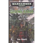 Warhammer 40 000: Čestná stráž - Abnett Dan – Hledejceny.cz